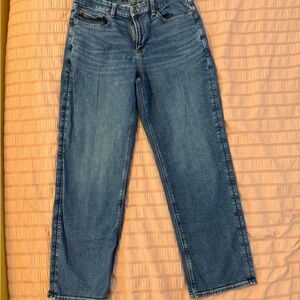 American Eagle Outfitters Straight Leg Blue Jeans